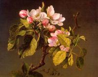 Heade, Martin Johnson - Apple Blossoms